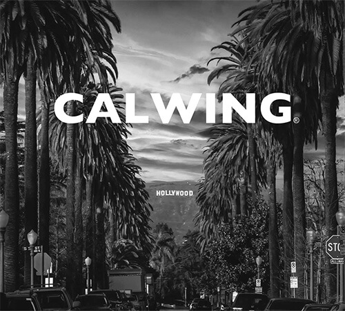 アメ車・欧州車・逆輸入車 輸入車専門店 | キャルウイング（CALWING）